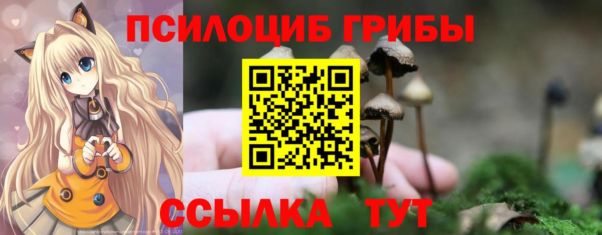 Псилоцибиновые грибы прущие грибы Тулун